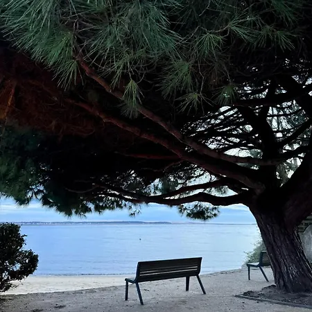 La Hutte Cap Ferret - Grand Piquey