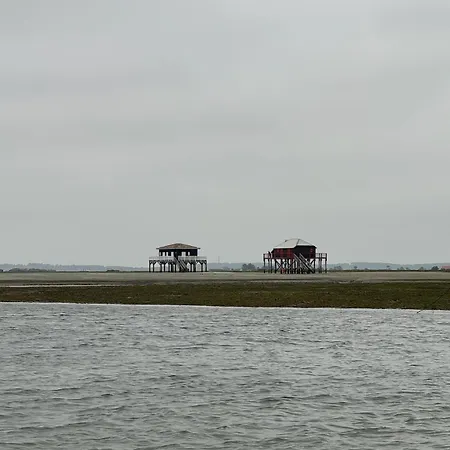 La Hutte Cap Ferret - Grand Piquey Lège-Cap-Ferret