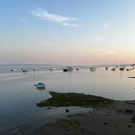 La Hutte Cap Ferret - Grand Piquey * Lège-Cap-Ferret