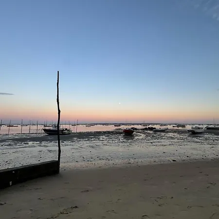 La Hutte Cap Ferret - Grand Piquey 펜션 *