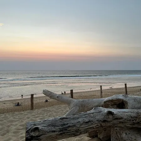 La Hutte Cap Ferret - Grand Piquey Lège-Cap-Ferret