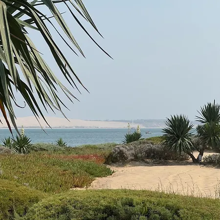 La Hutte Cap Ferret - Grand Piquey 펜션 *